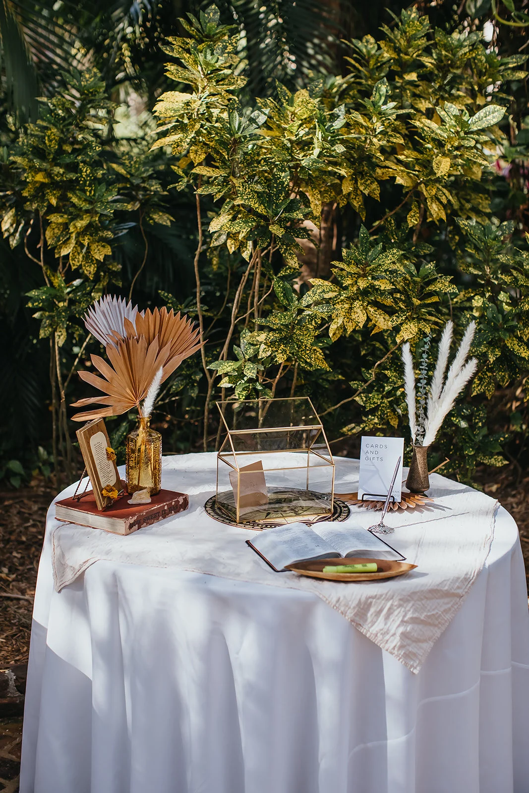 Tampa Wedding Photographer St. Pete Wedding Photographer Sunken Gardens Wedding