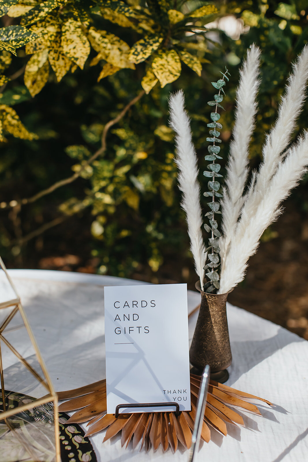 Tampa Wedding Photographer St. Pete Wedding Photographer Sunken Gardens Wedding