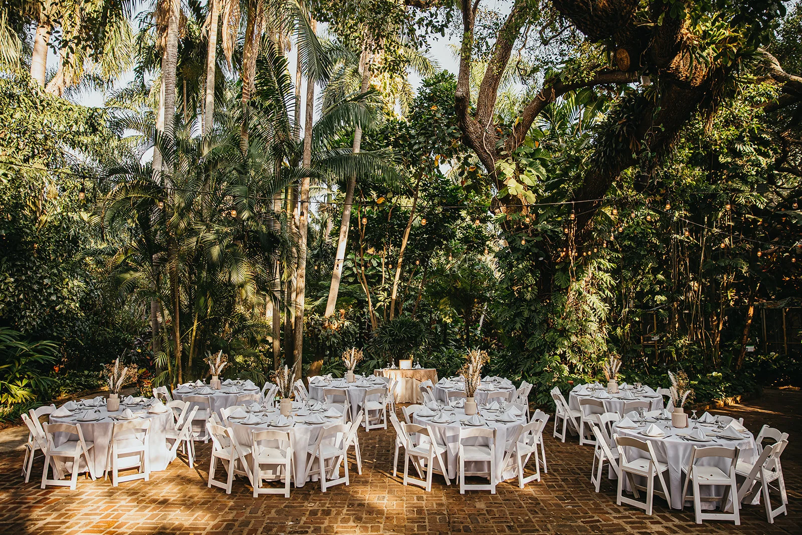 Tampa Wedding Photographer St. Pete Wedding Photographer Sunken Gardens Wedding