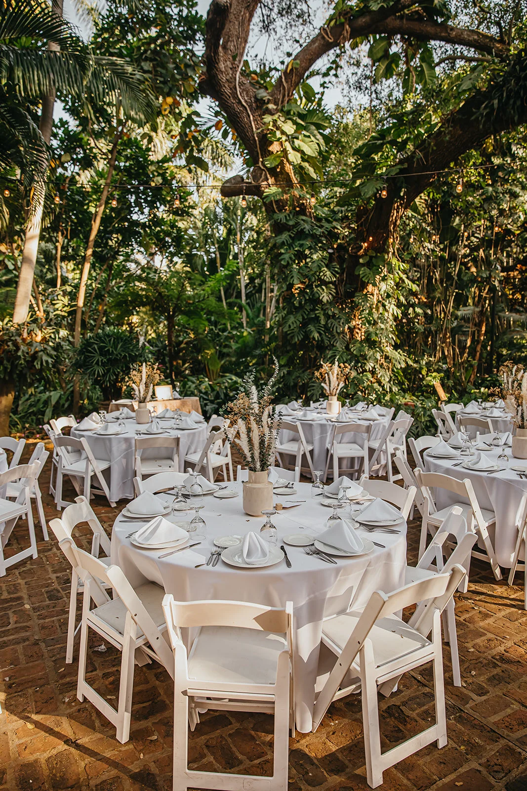 Tampa Wedding Photographer St. Pete Wedding Photographer Sunken Gardens Wedding