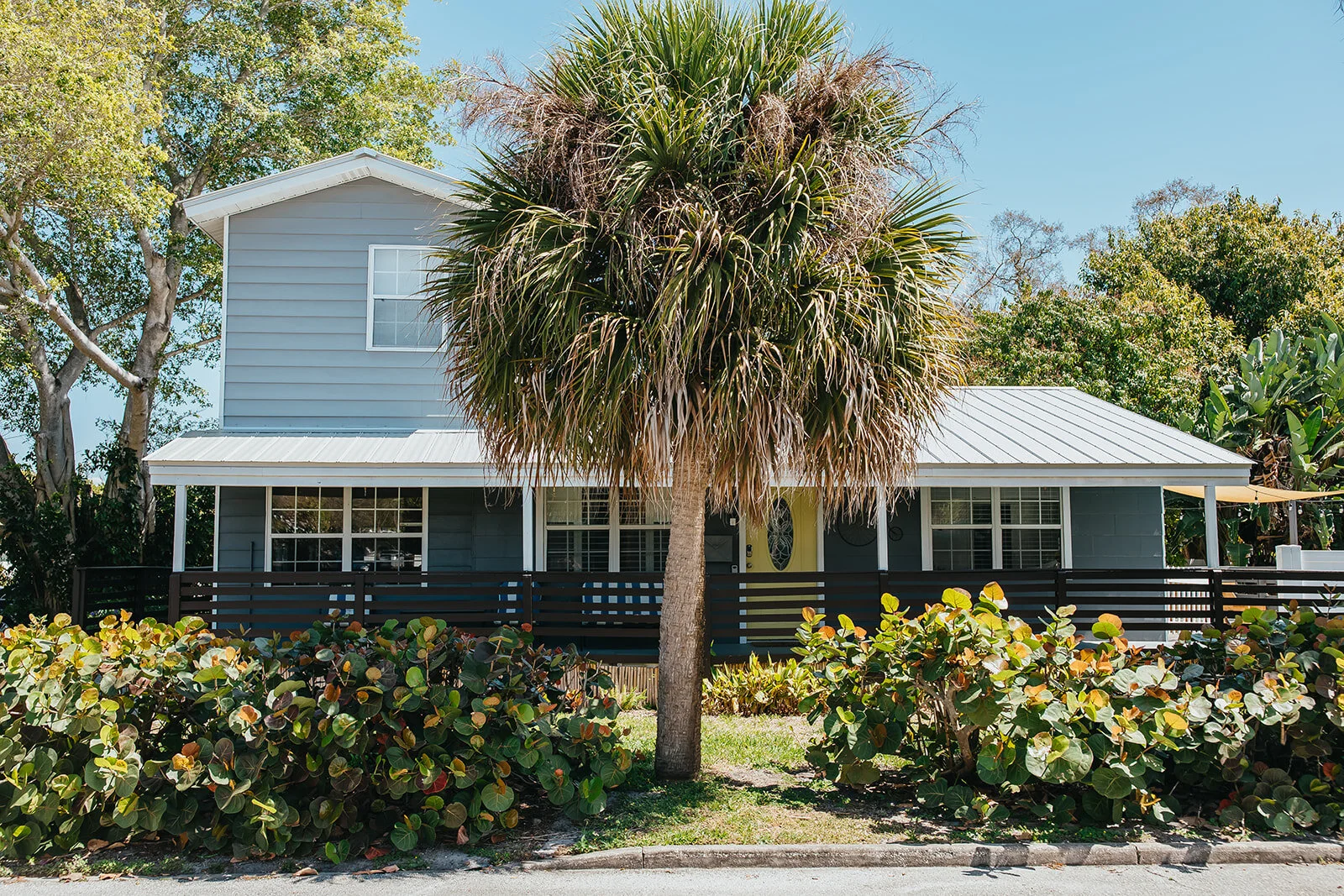 Tampa Wedding Photographer St. Pete Wedding Photographer Sunken Gardens Wedding