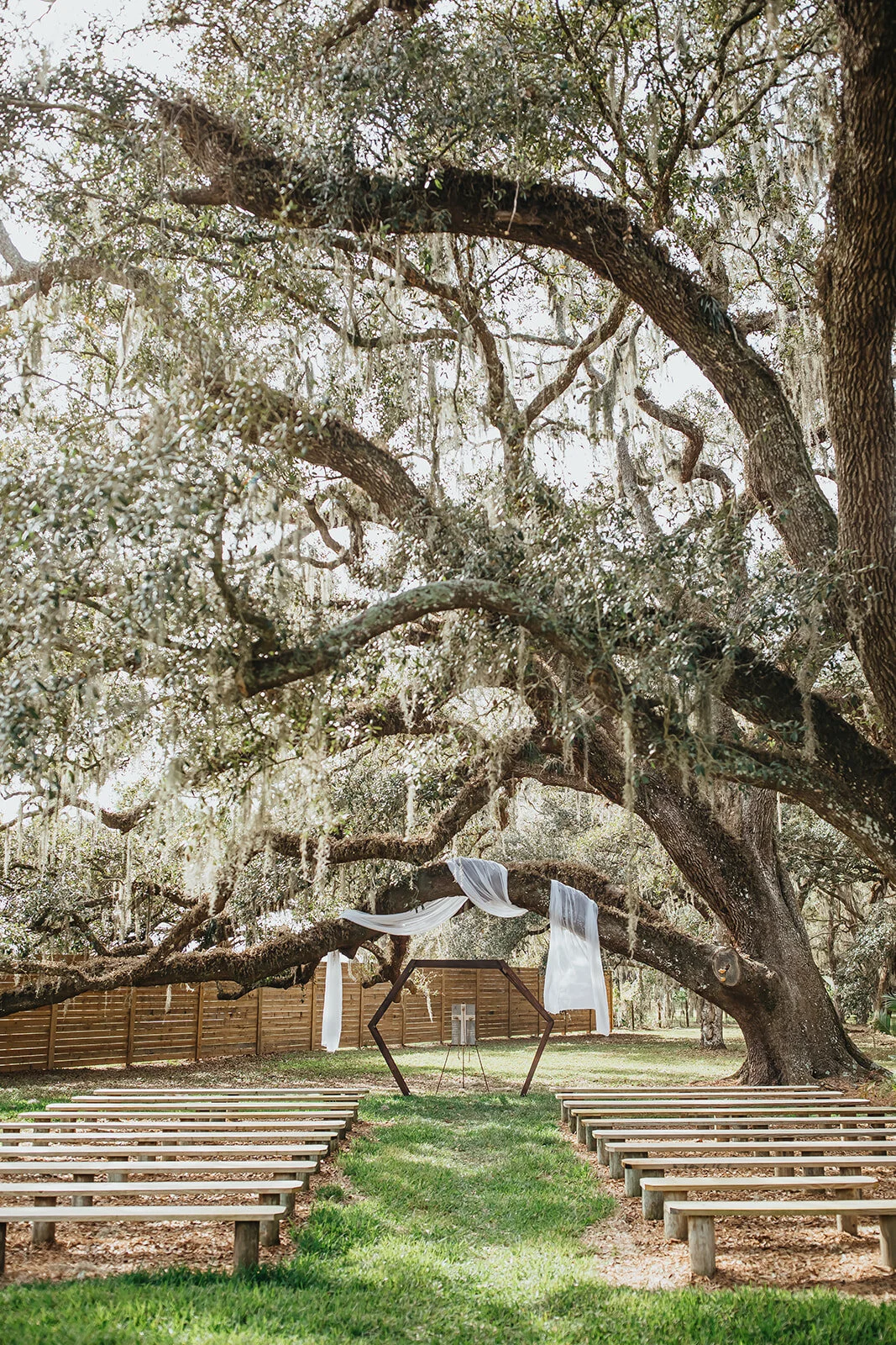 Wandering Oak Wedding Tampa Bay Wedding Photographer