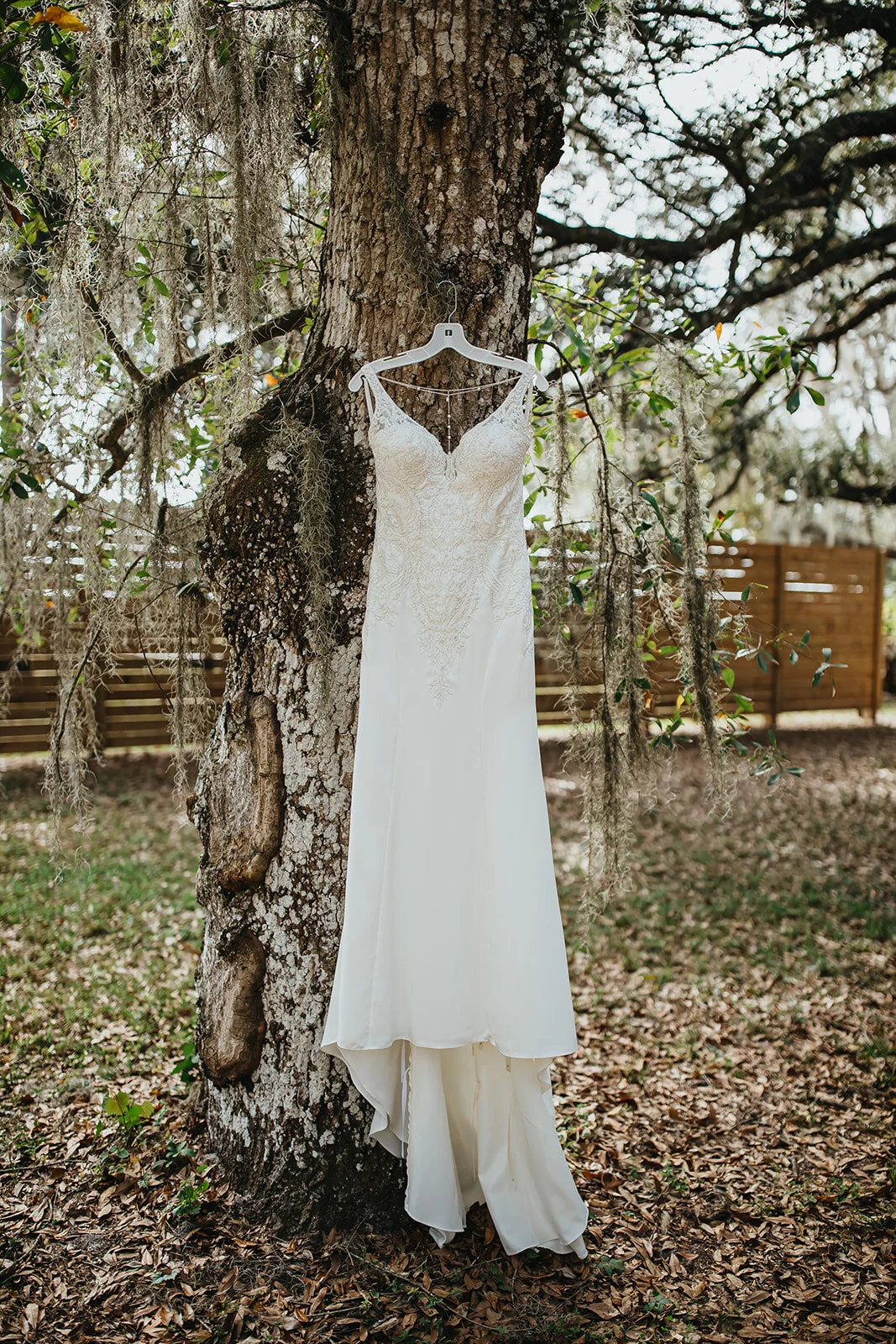 Wandering Oak Wedding Tampa Bay Wedding Photographer