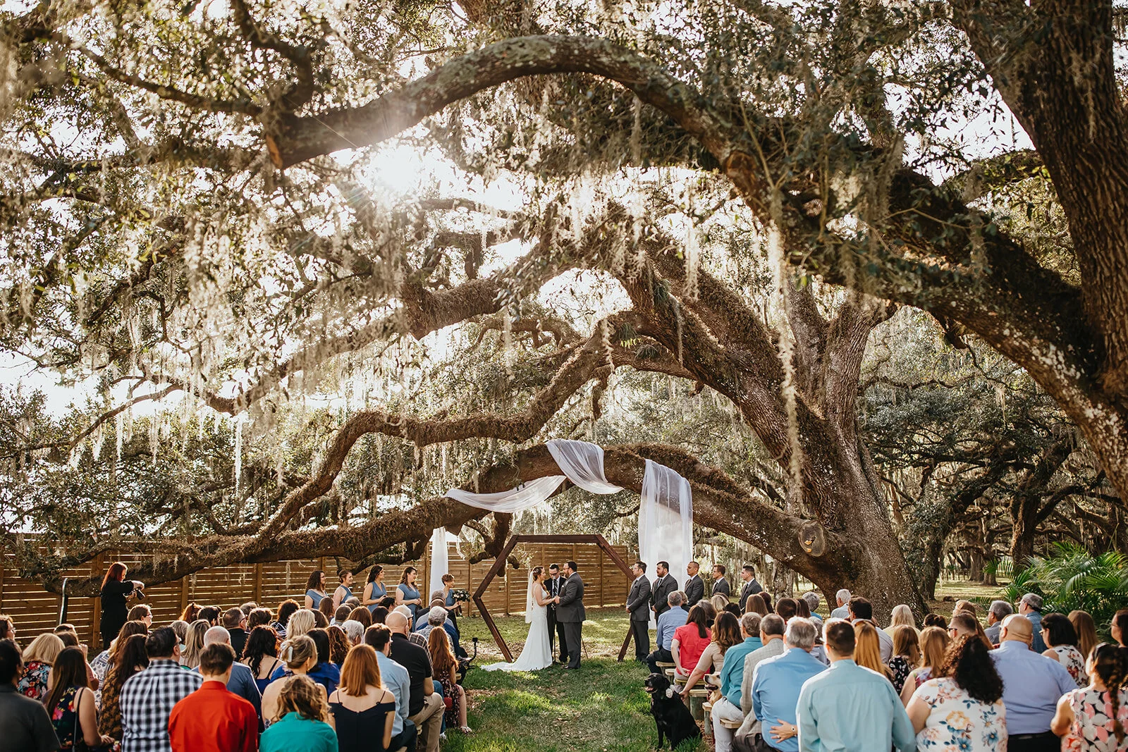 Messman Wedding 2020 (JPEG) (365 of 978).jpg