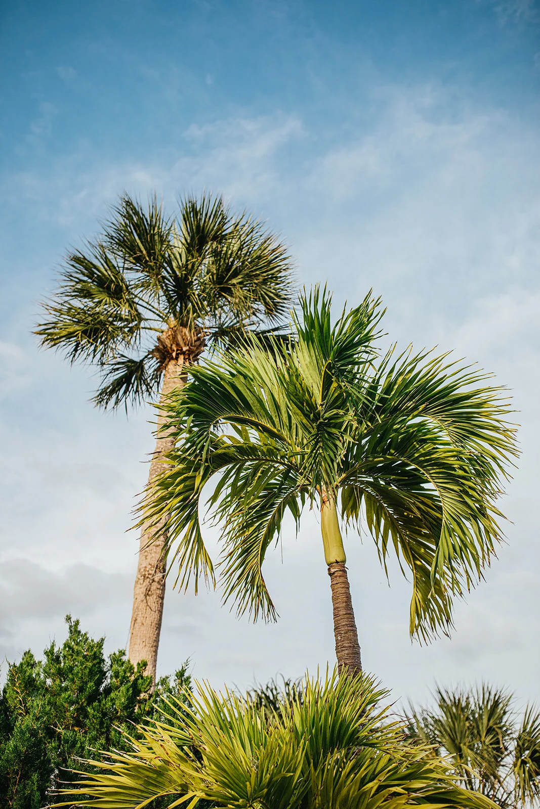 Rad Red Creative Longboat Key Engagement Session Tampa Wedding Photographer