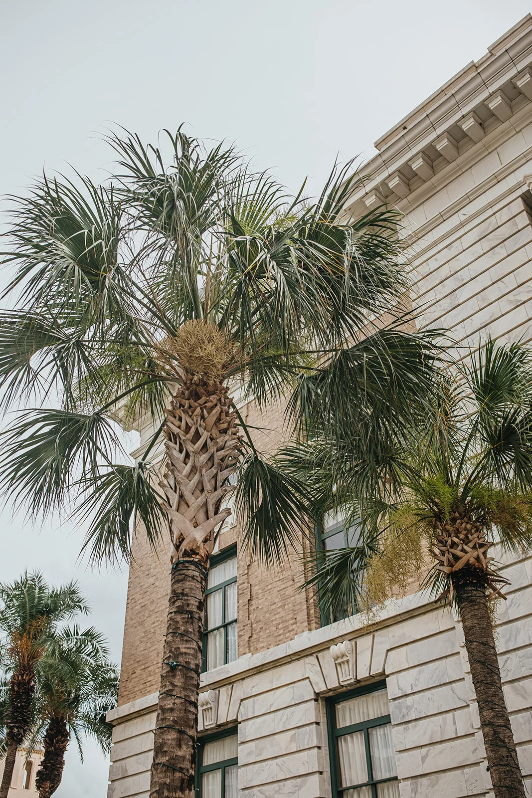 Rad Red Creative Tampa Wedding Photographer Downtown Tampa Wedding Sacred Heart COVID Wedding