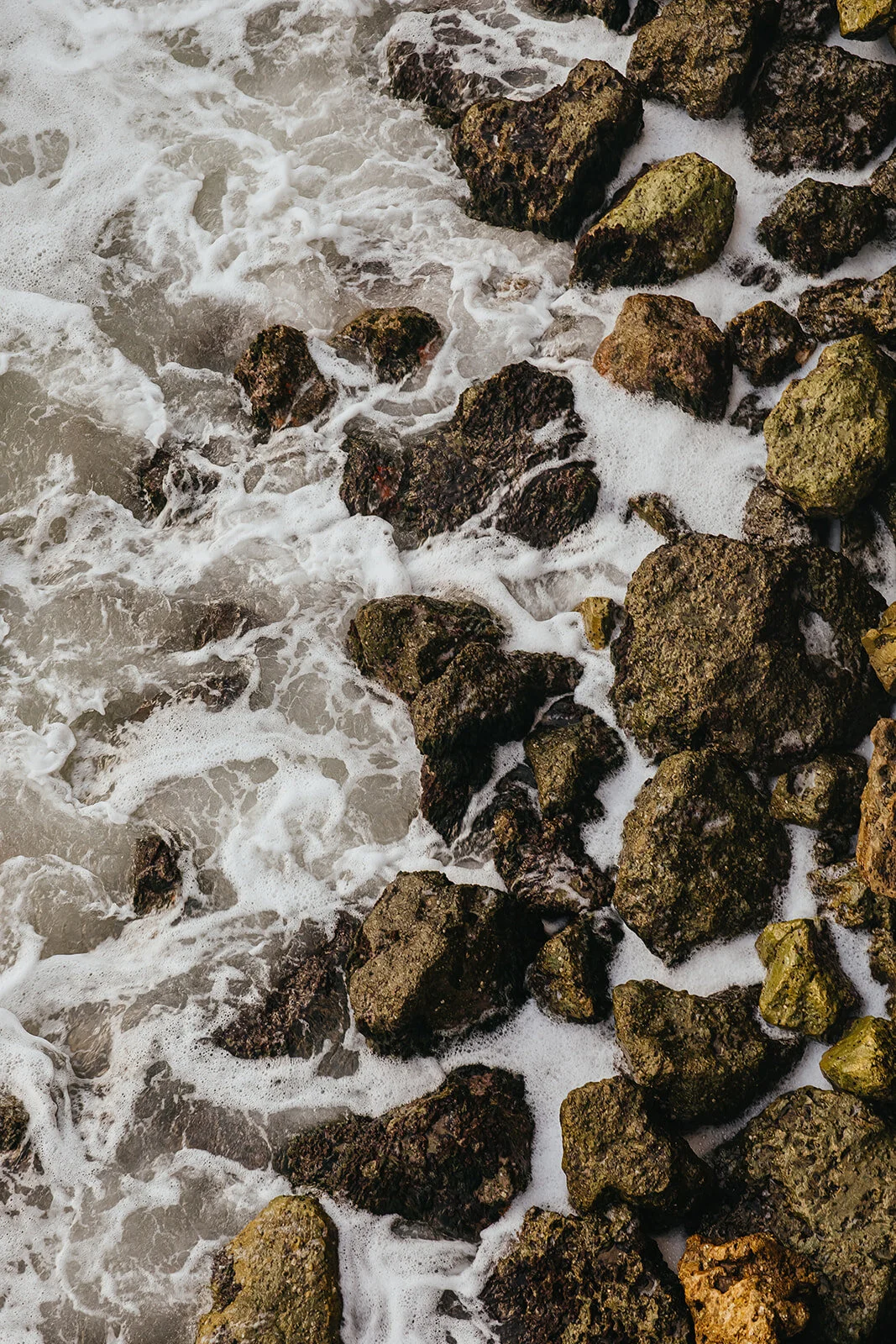 Opal Sands Wedding Tampa Wedding Photographer Rad Red Creative