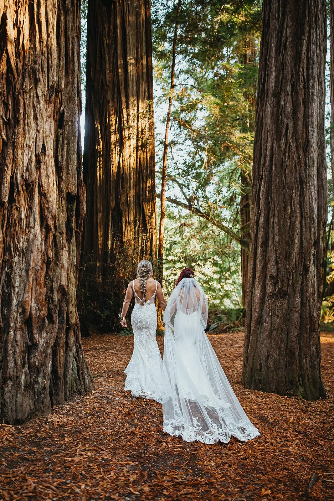 Rad Red Creative Redwoods National Park Elopement