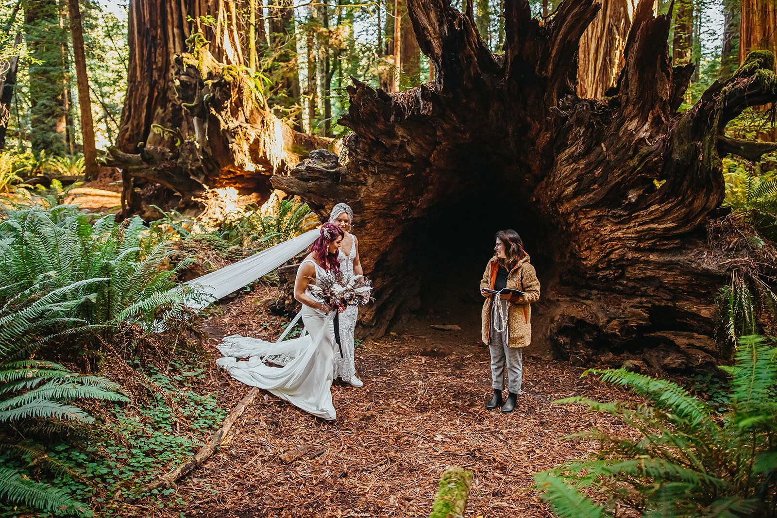 Rad Red Creative Redwoods National Park Elopement