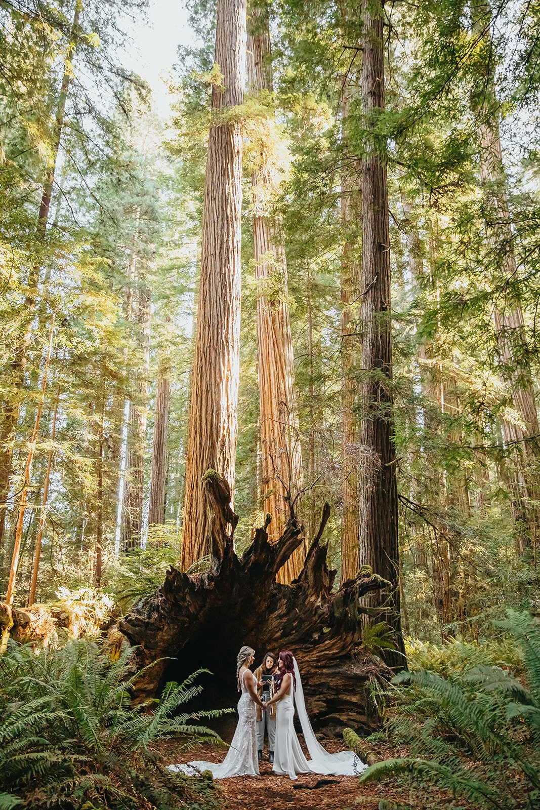 Rad Red Creative Redwoods National Park Elopement