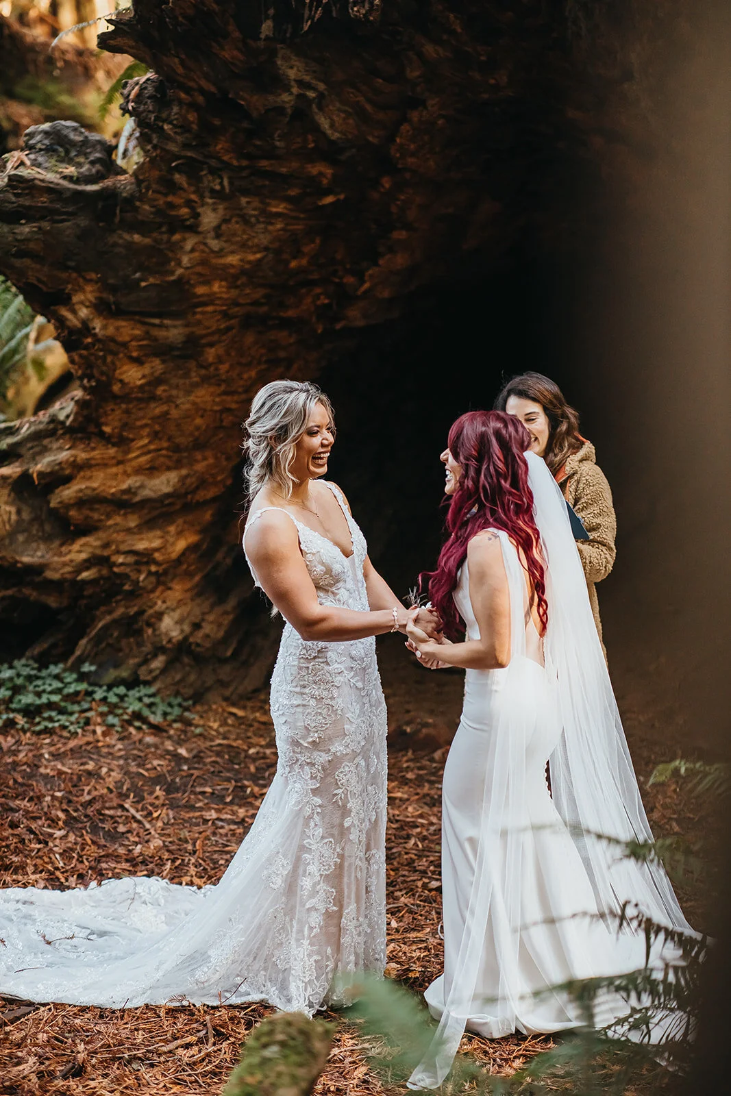 Rad Red Creative Redwoods National Park Elopement