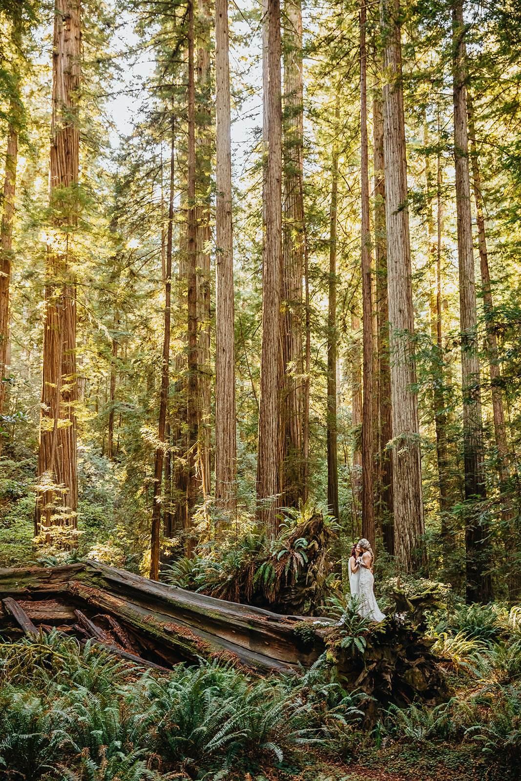Rad Red Creative Redwoods National Park Elopement