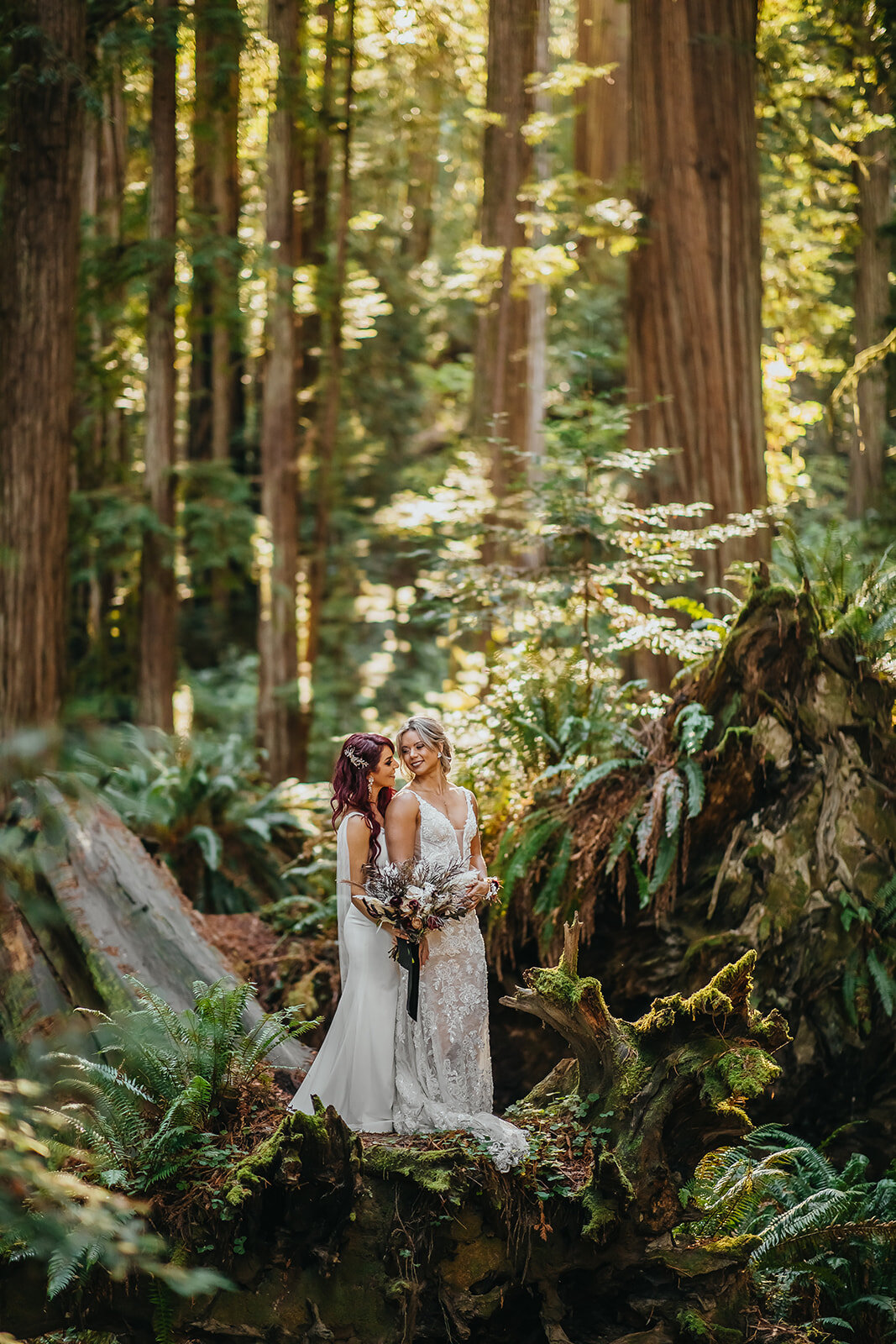 Rad Red Creative Redwoods National Park Elopement