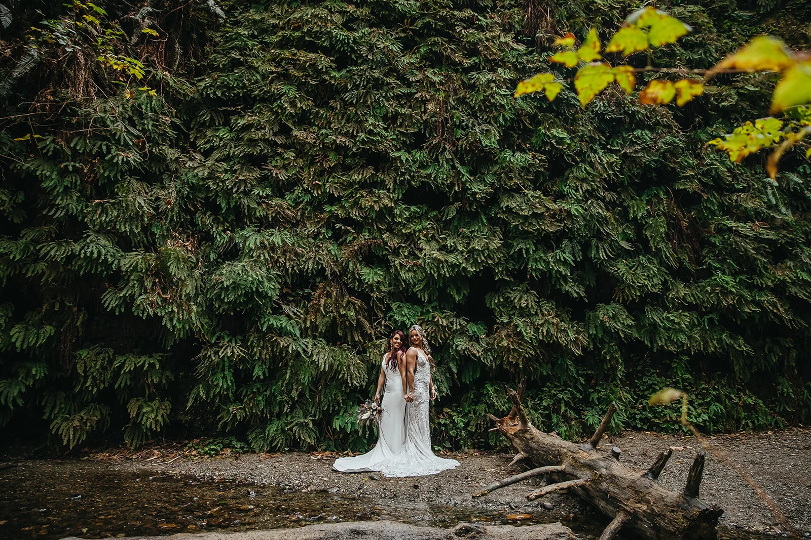 Rad Red Creative Redwoods National Park Elopement