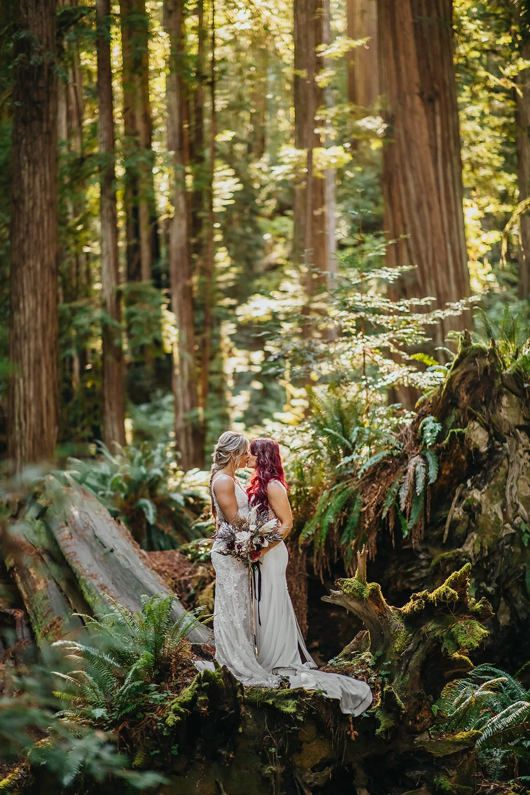 Dana + Shannon's Redwoods National Park Elopement
