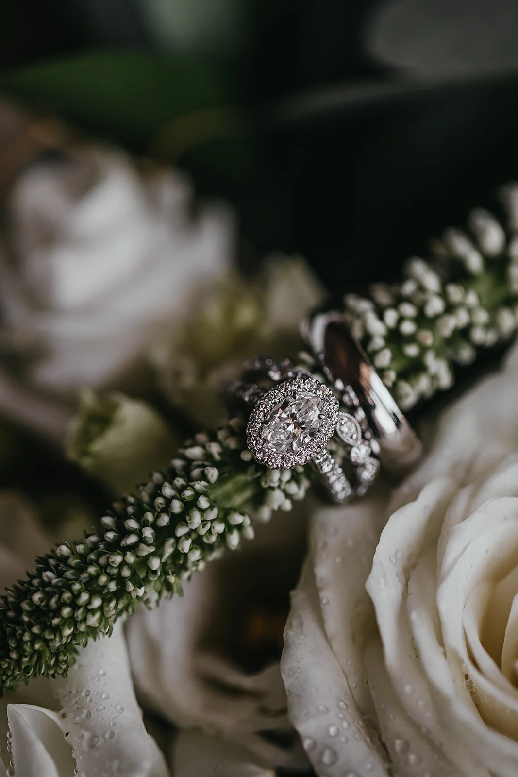 Rad Red Creative Tampa Wedding Photographer Hotel Zamora Wedding