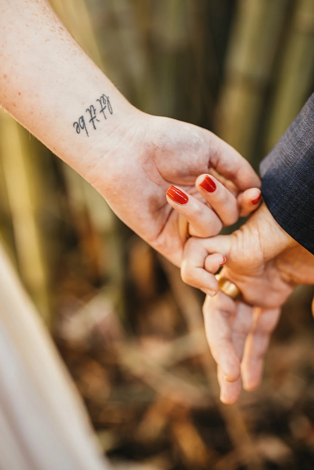 Rad Red Creative Tampa Wedding Photographer Sunken Gardens Wedding