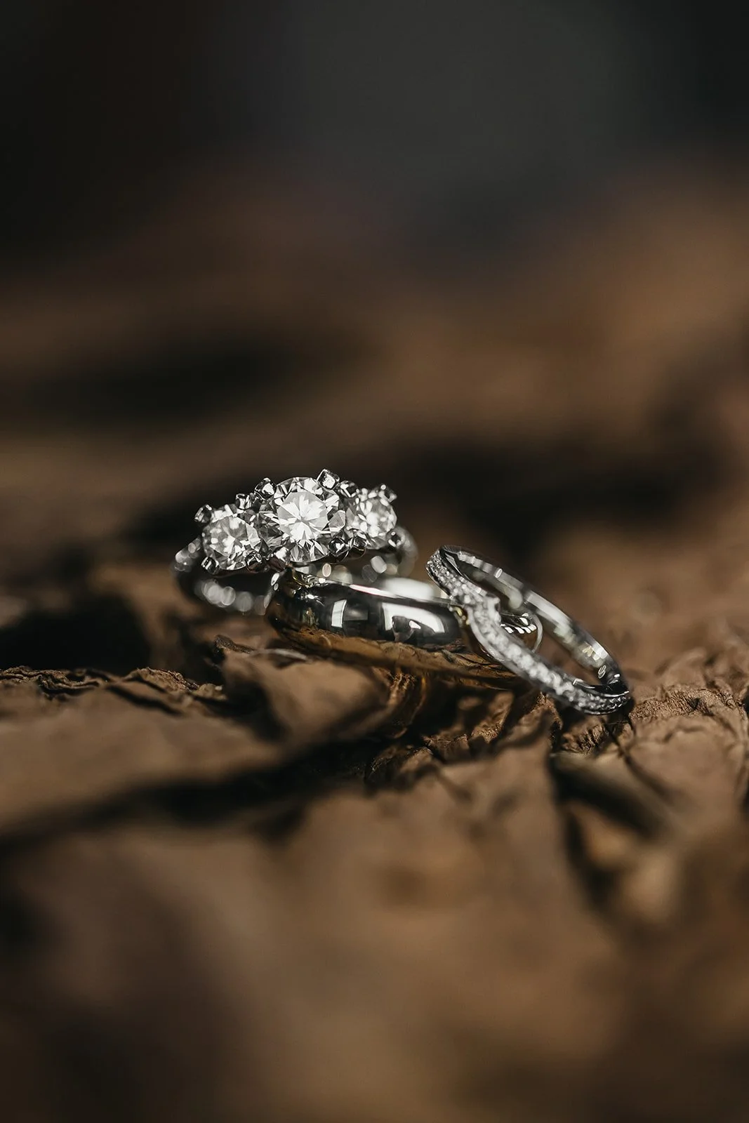 Tampa Wedding Photographer Rad Red Creative