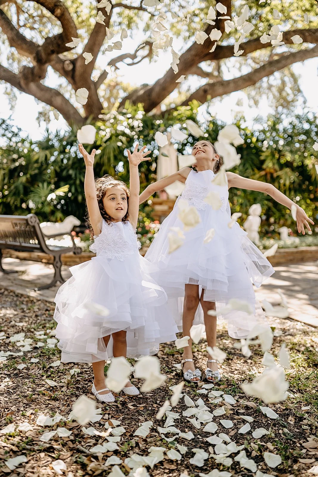 Rad Red Creative Tampa Bay Wedding Photographer