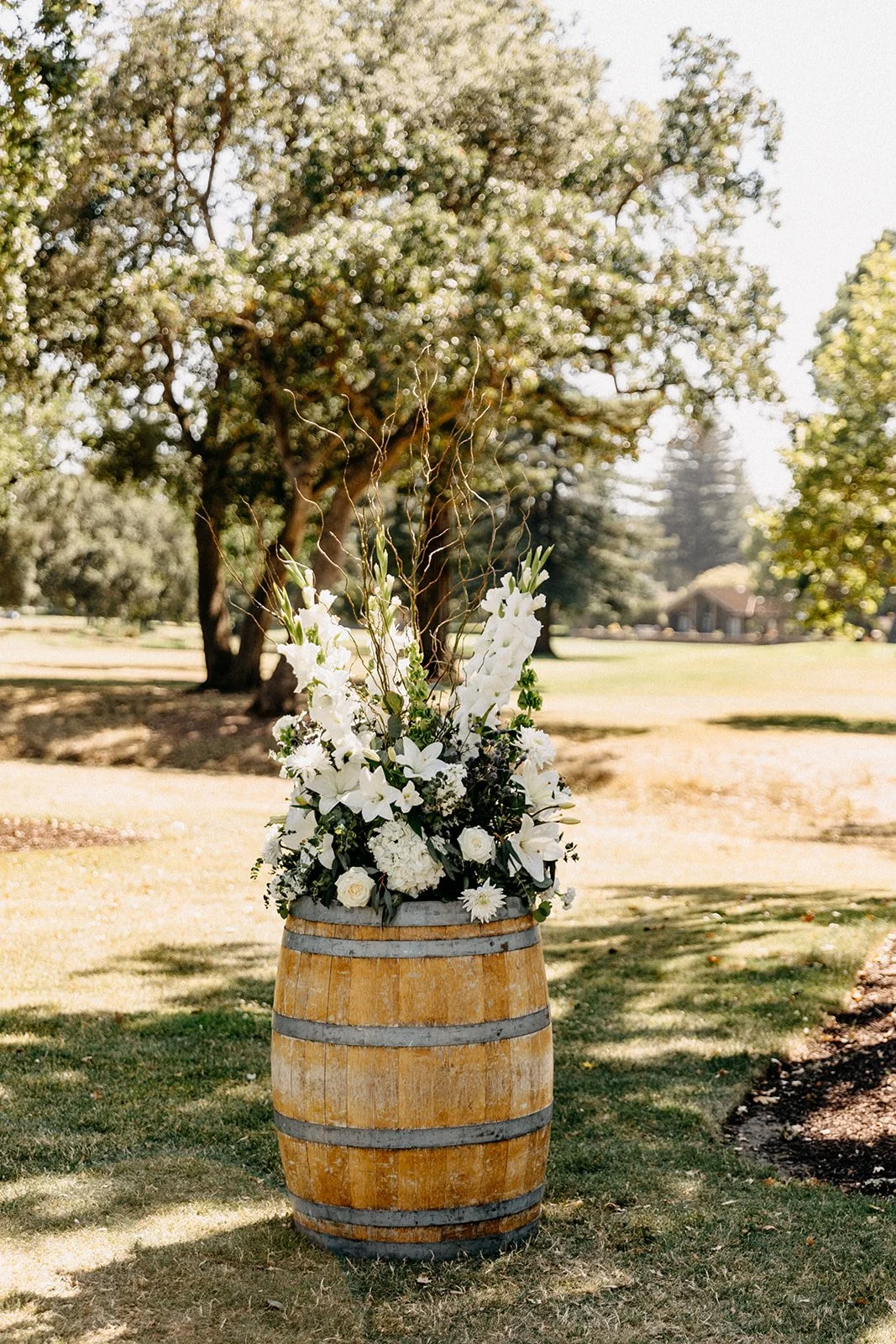 Destination Wedding Photographer Rad Red Creative Napa Valley Wedding California Wedding
