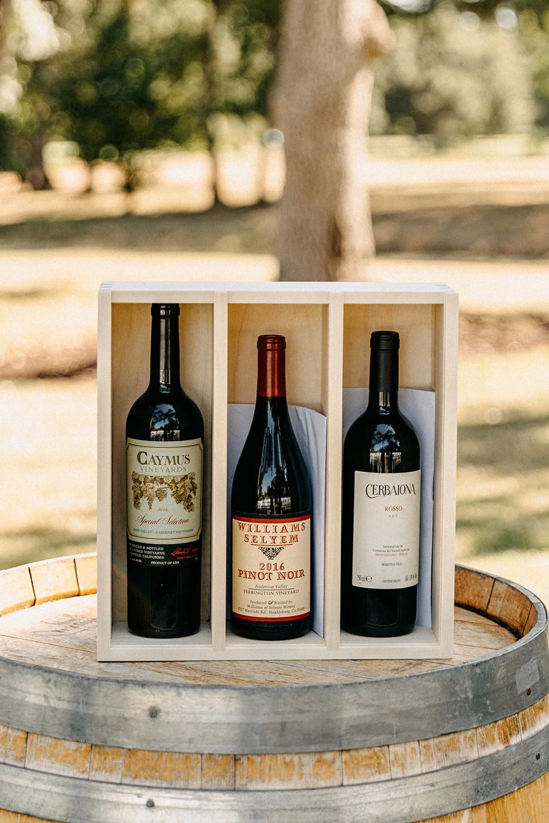 Destination Wedding Photographer Rad Red Creative Napa Valley Wedding California Wedding