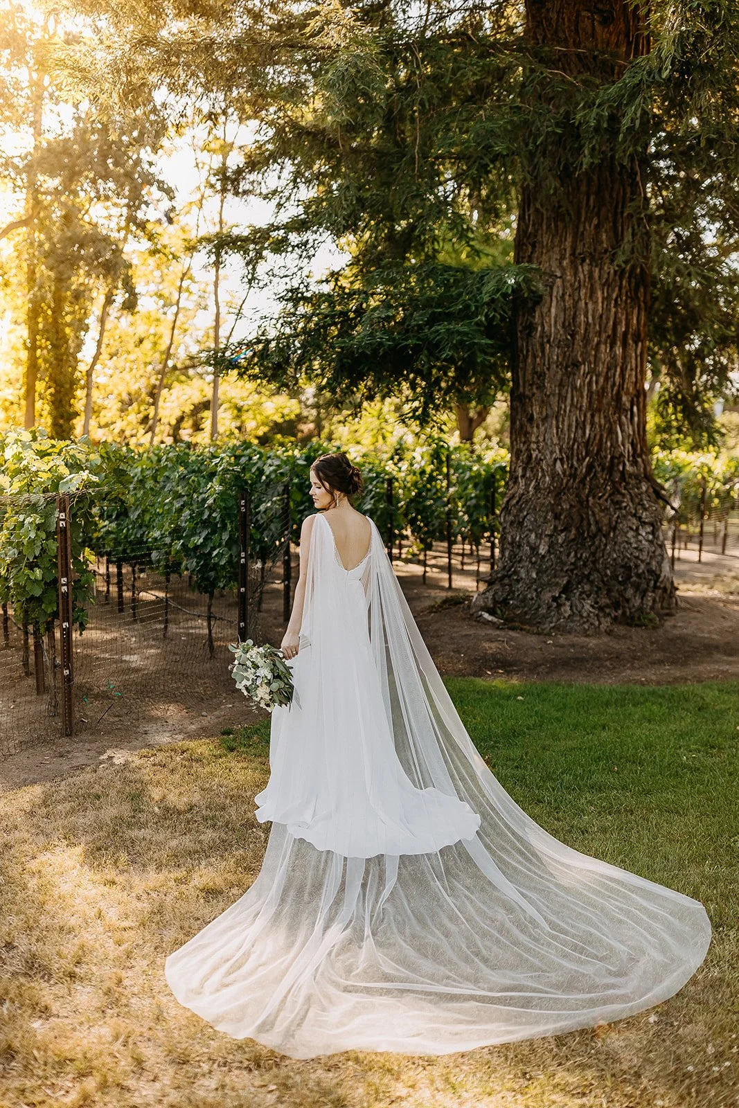 Destination Wedding Photographer Rad Red Creative Napa Valley Wedding California Wedding