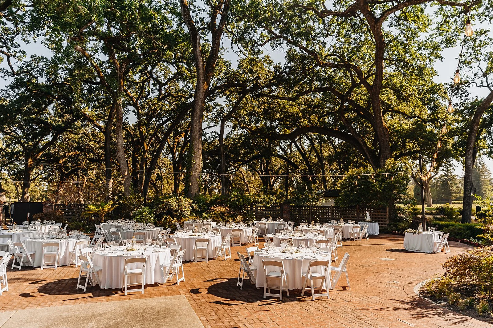 Destination Wedding Photographer Rad Red Creative Napa Valley Wedding California Wedding
