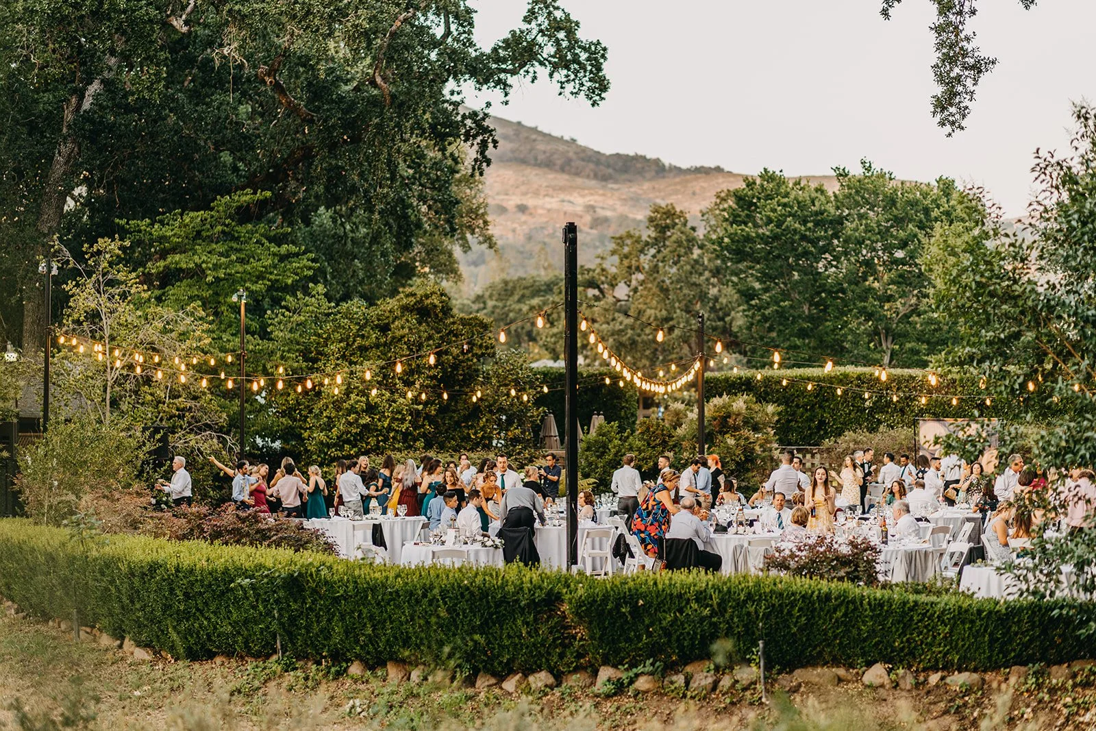 Destination Wedding Photographer Rad Red Creative Napa Valley Wedding California Wedding