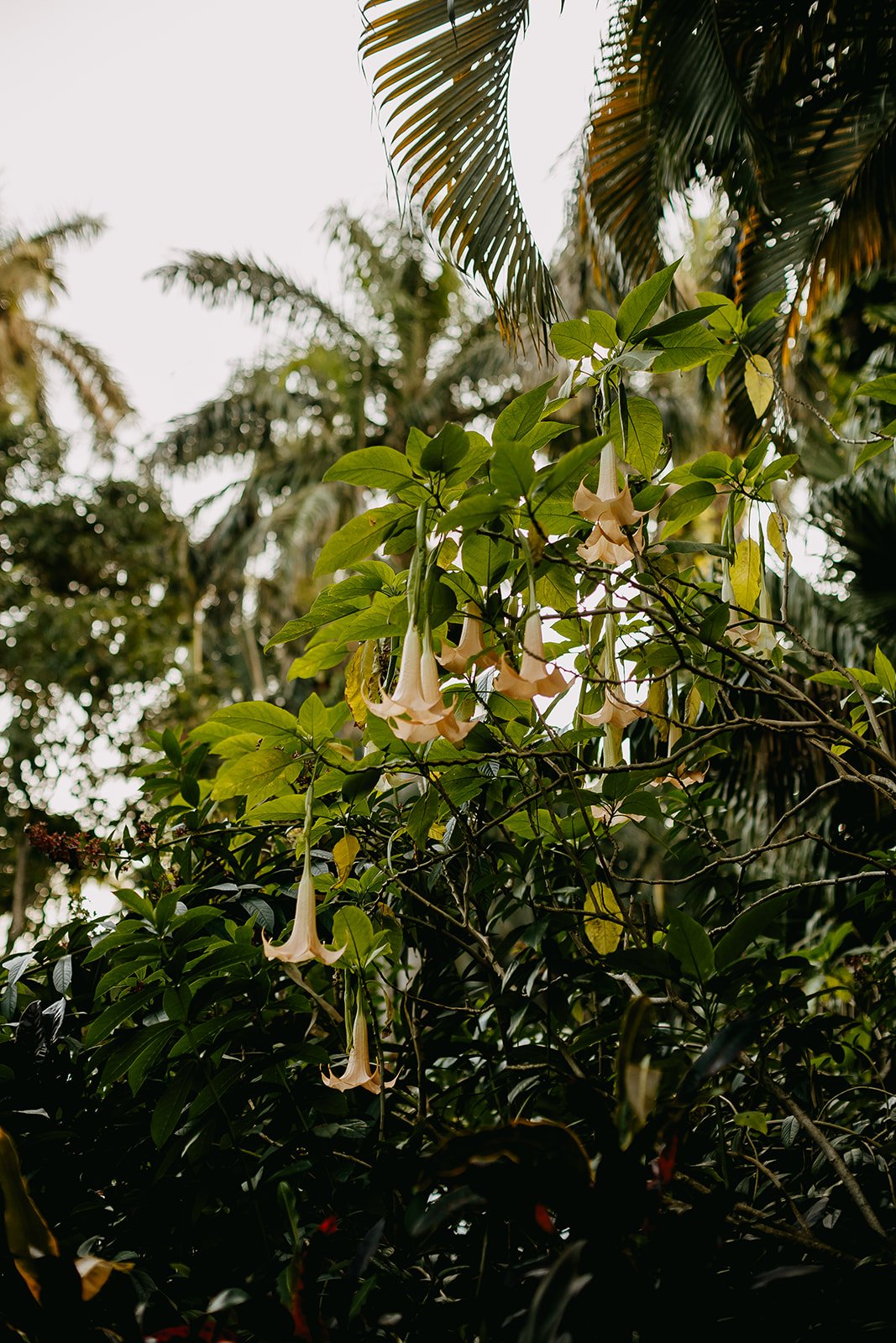 St. Petersburg Wedding Photographer Rad Red Creative