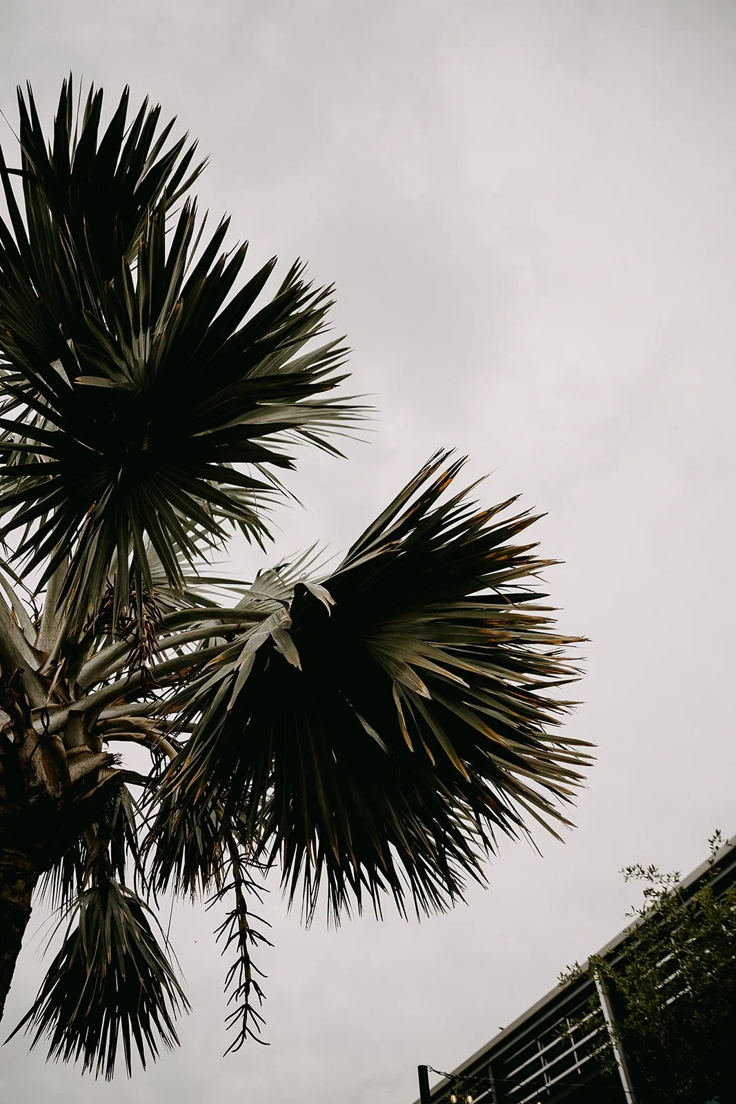 Tepfer Wedding 2023 (JPEG) (329 of 798).jpg