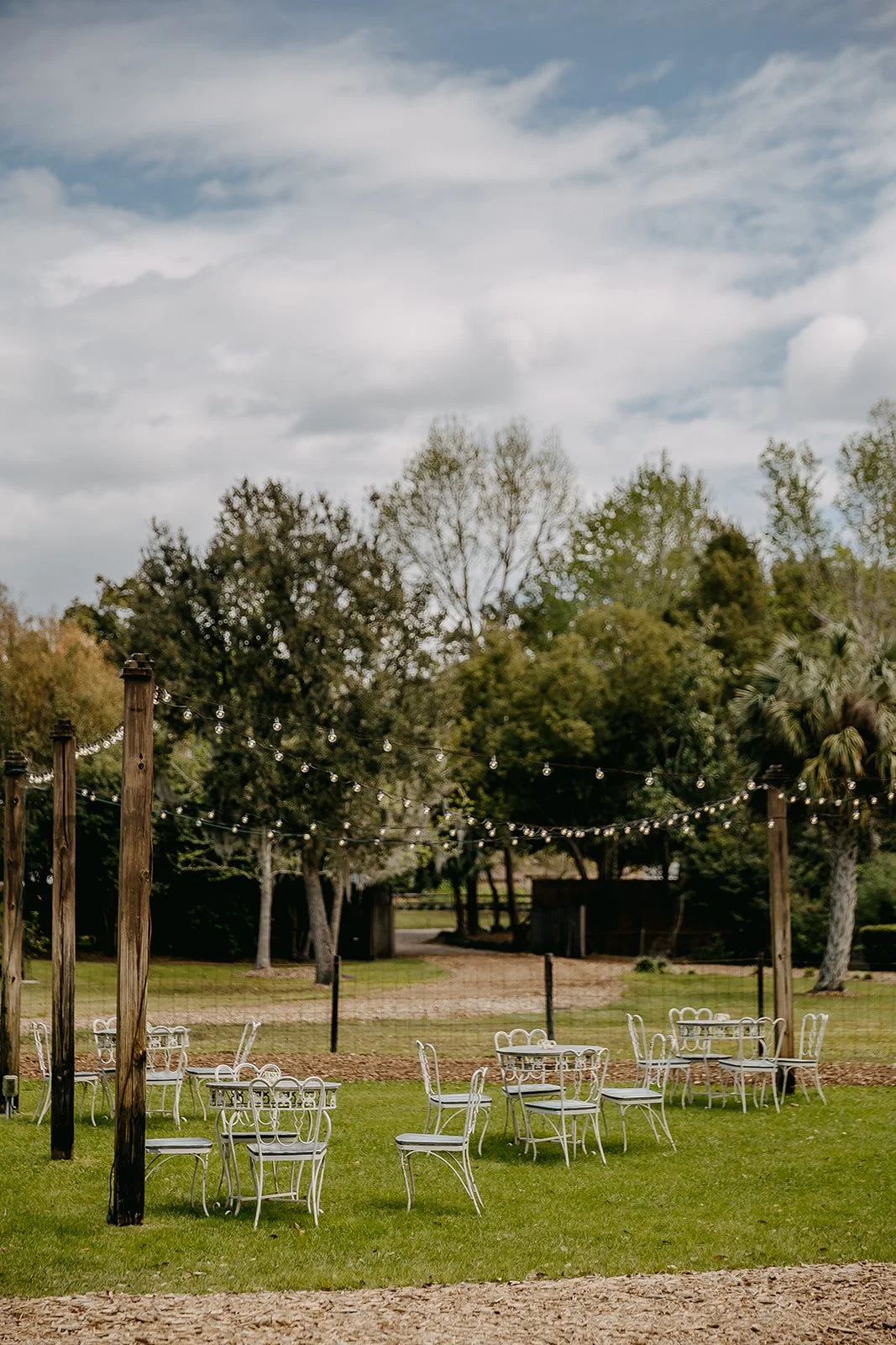 Details_Cario Wedding 2024 (JPEG) (75 of 892).jpg