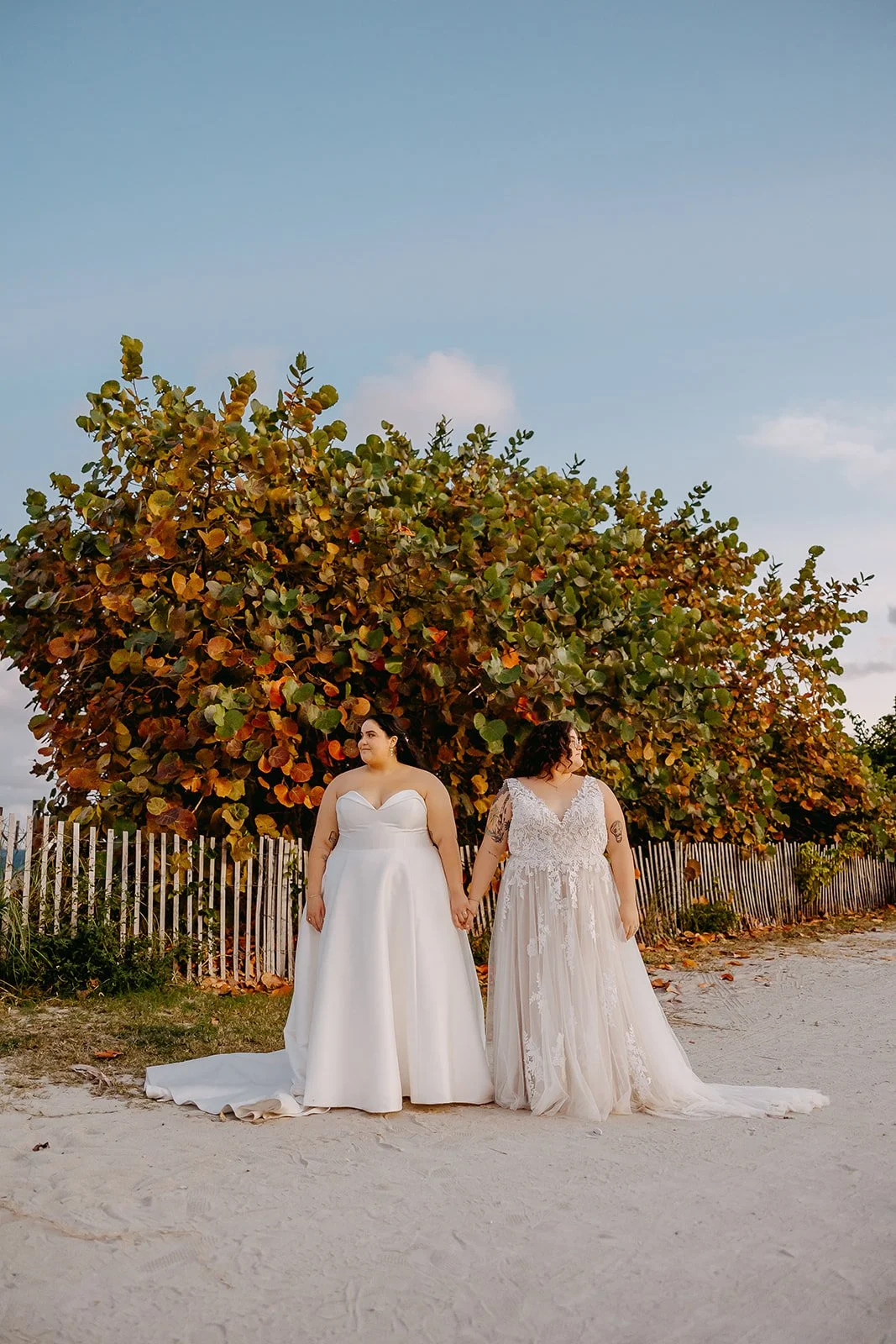Portraits_Cafra Wedding 2023 (JPEG) (623 of 644).jpg