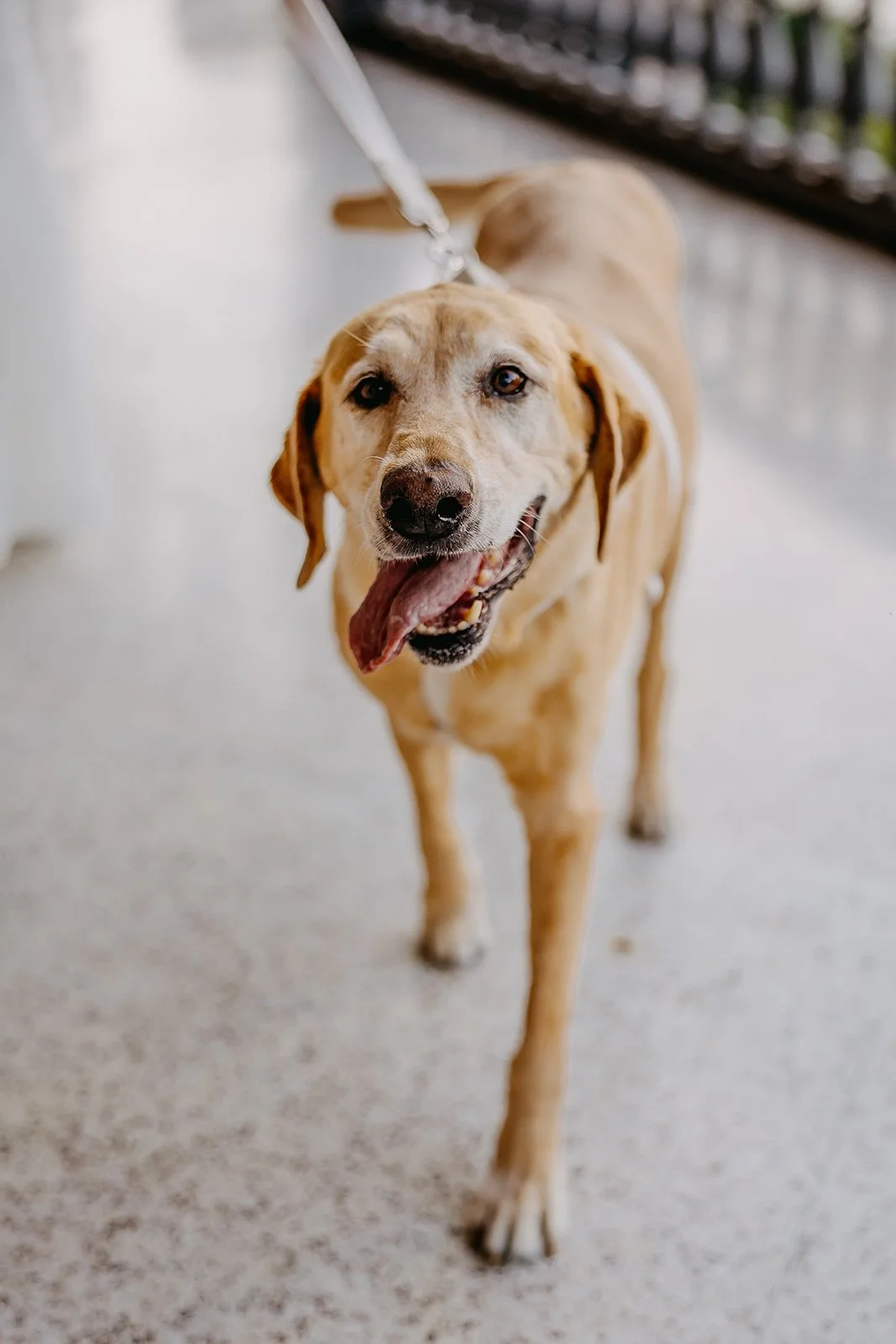 Portraits_Sara + Anthony Koehler 2024 (JPEG) (44 of 227).jpg