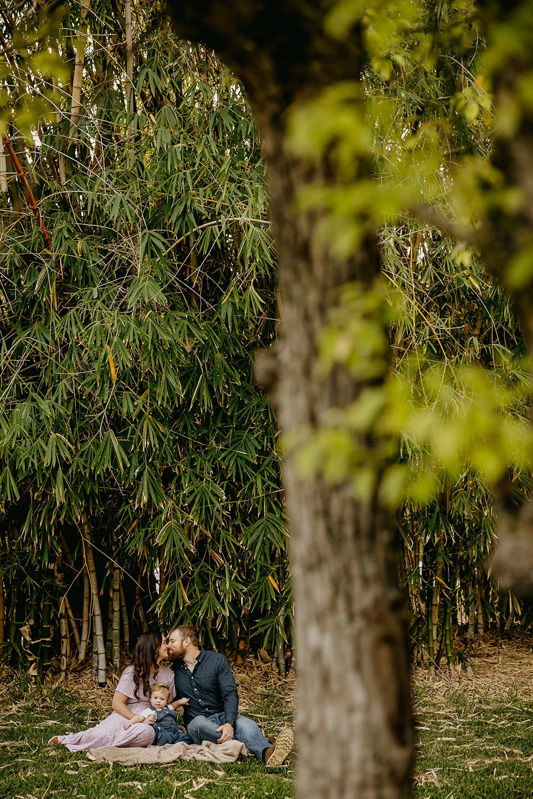 Phipps Family Session