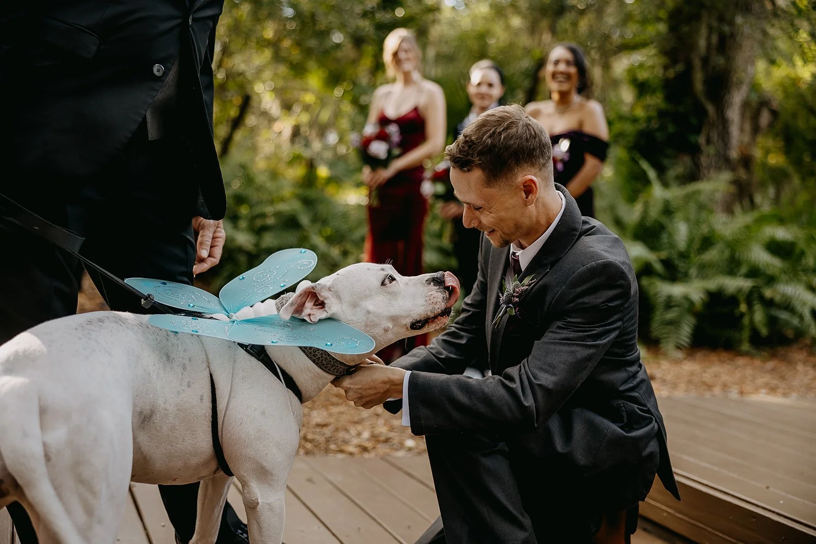 Loos Wedding 2023 (JPEG) (234 of 755).jpg