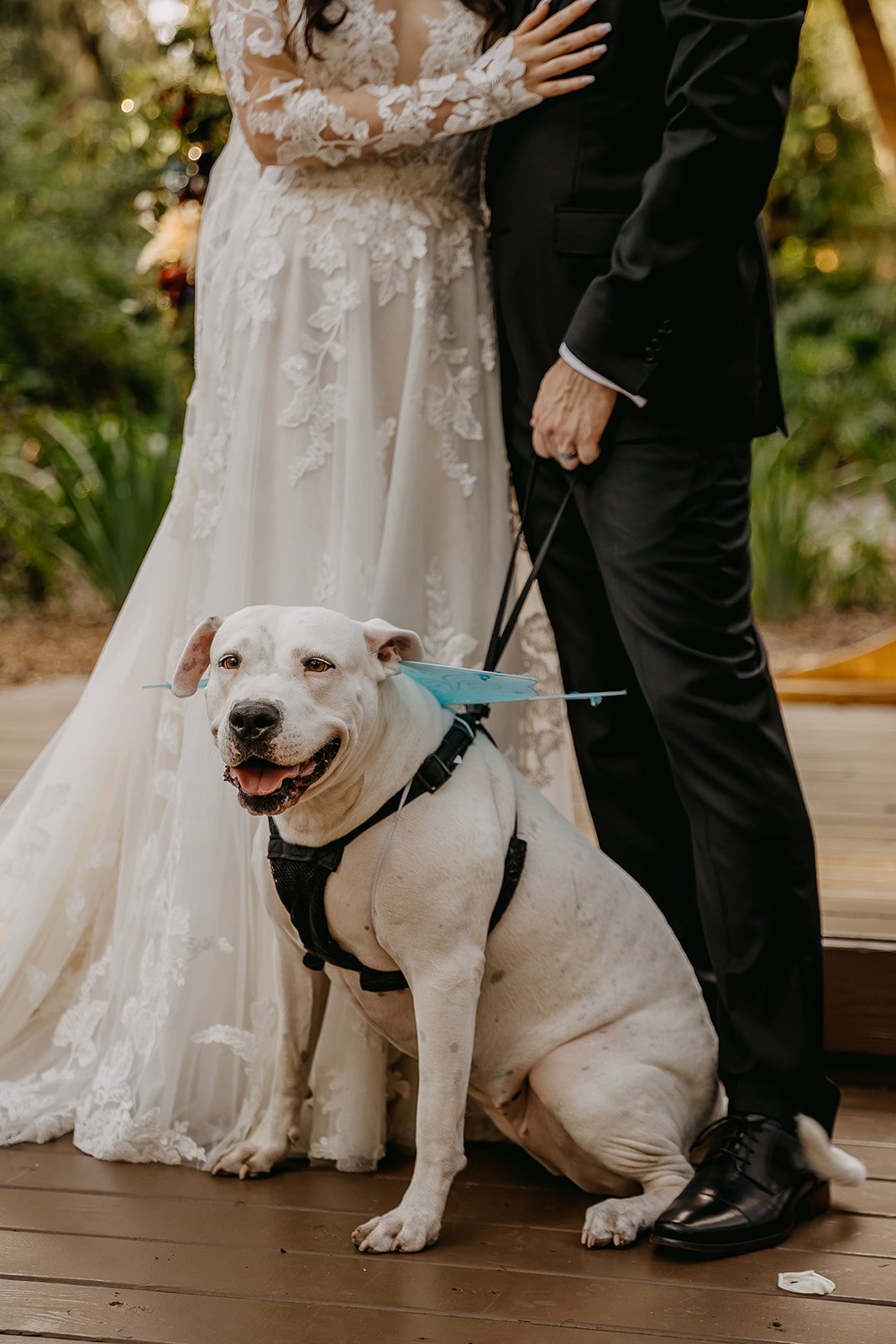 Loos Wedding 2023 (JPEG) (390 of 755).jpg