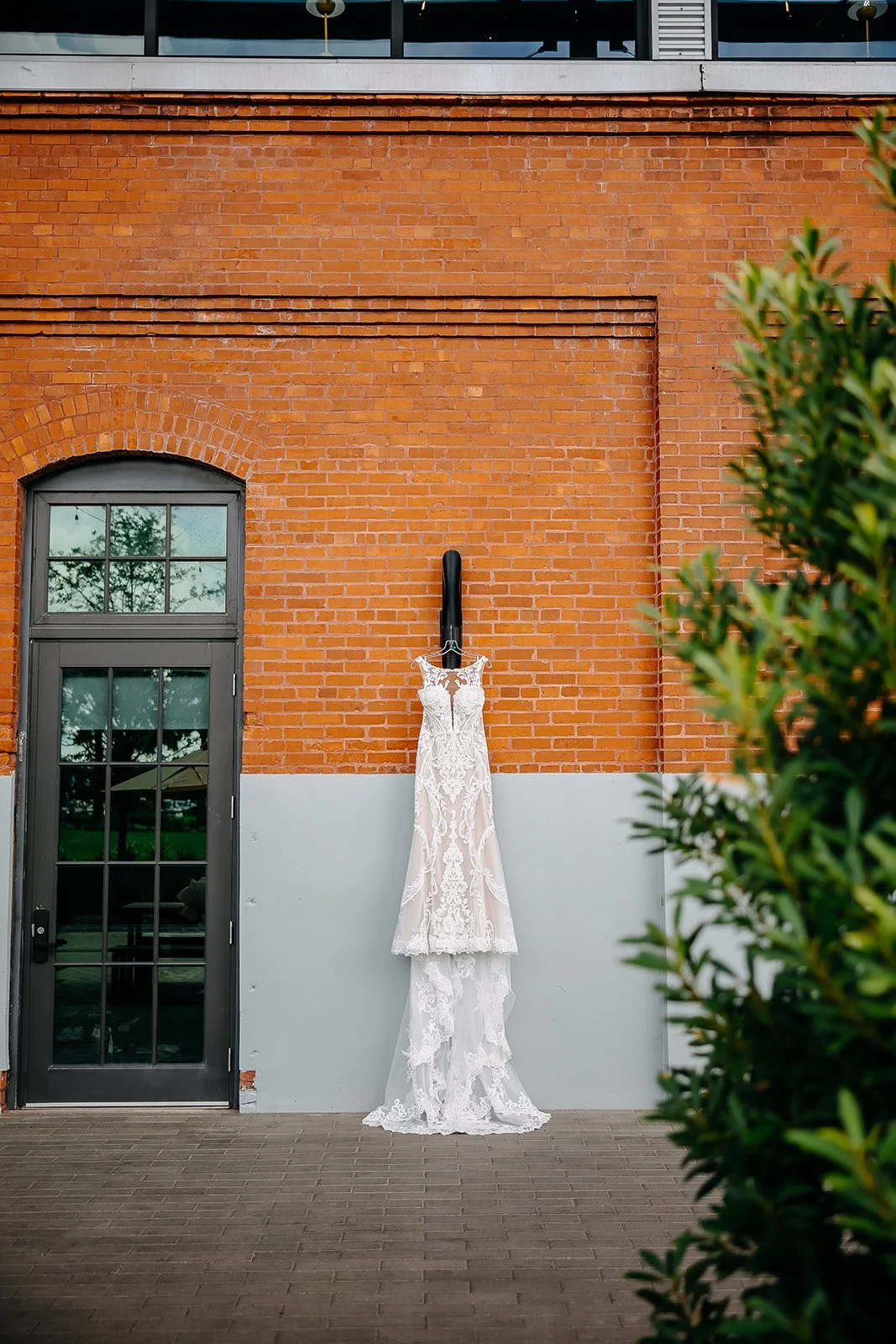 Jackson Wedding 2023 (JPEG) (24 of 1161).jpg