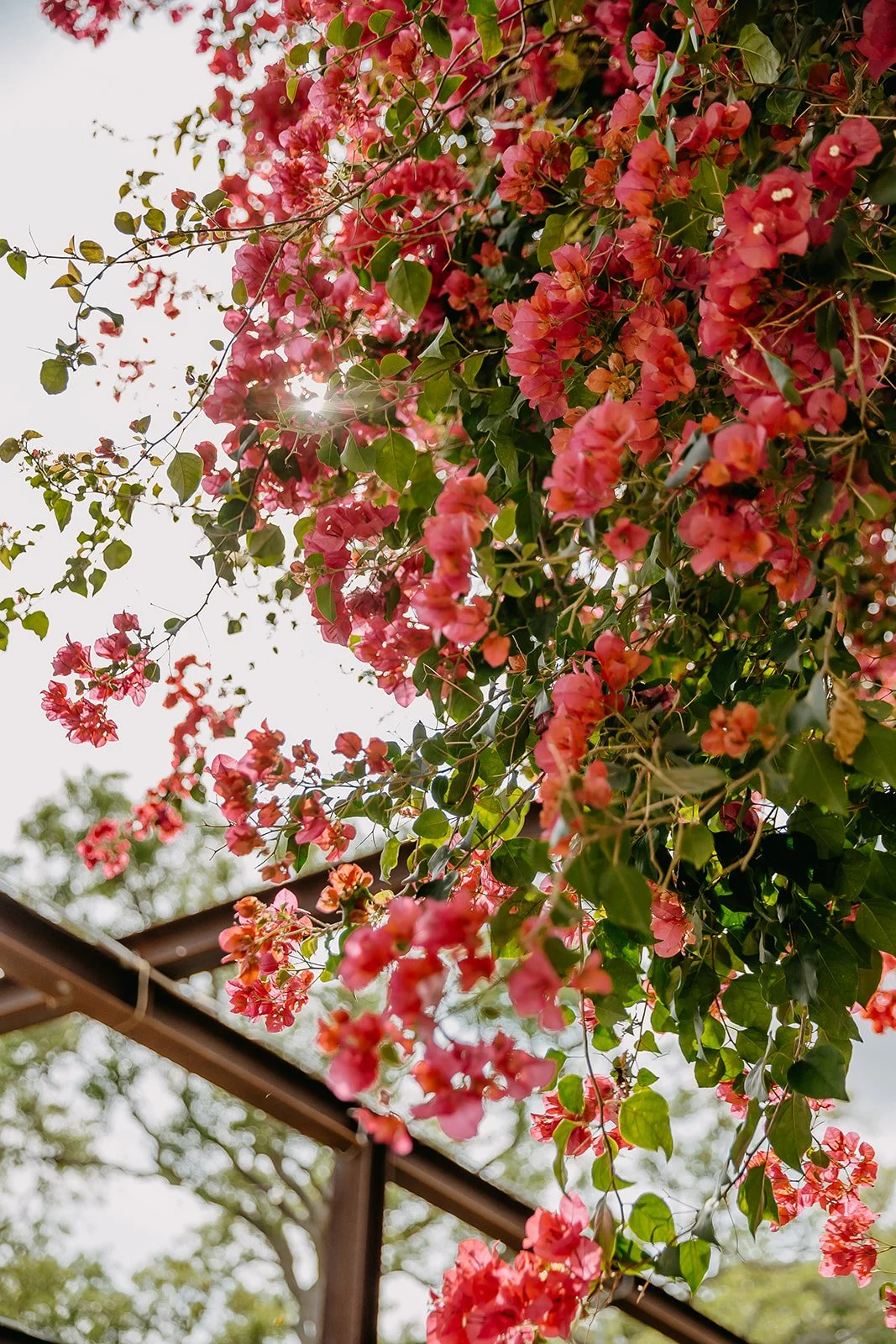 Details_Harris Wedding 2024 (JPEG) (311 of 1066).jpg