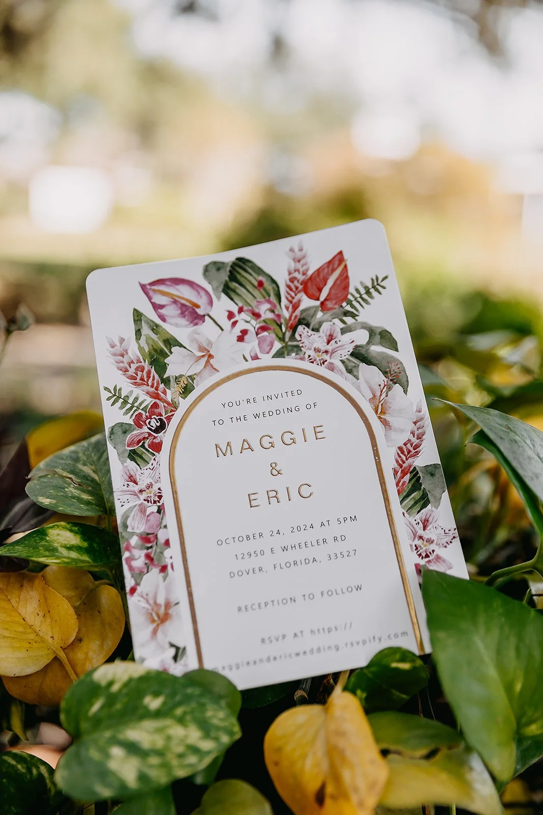 Lo-Bateman Wedding 2024 (JPEG) (263 of 904).jpg