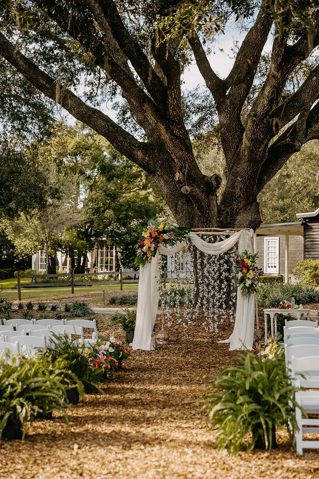 Lo-Bateman Wedding 2024 (JPEG) (511 of 904).jpg