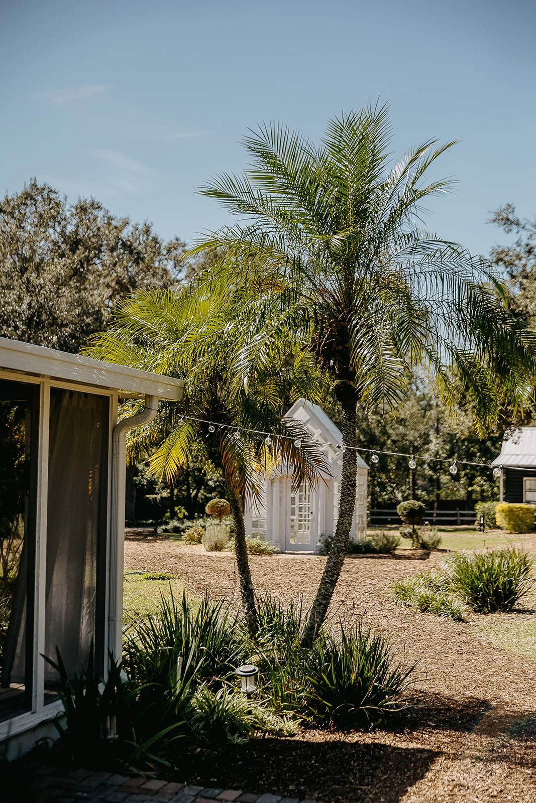 Lo-Bateman Wedding 2024 (JPEG) (201 of 904).jpg