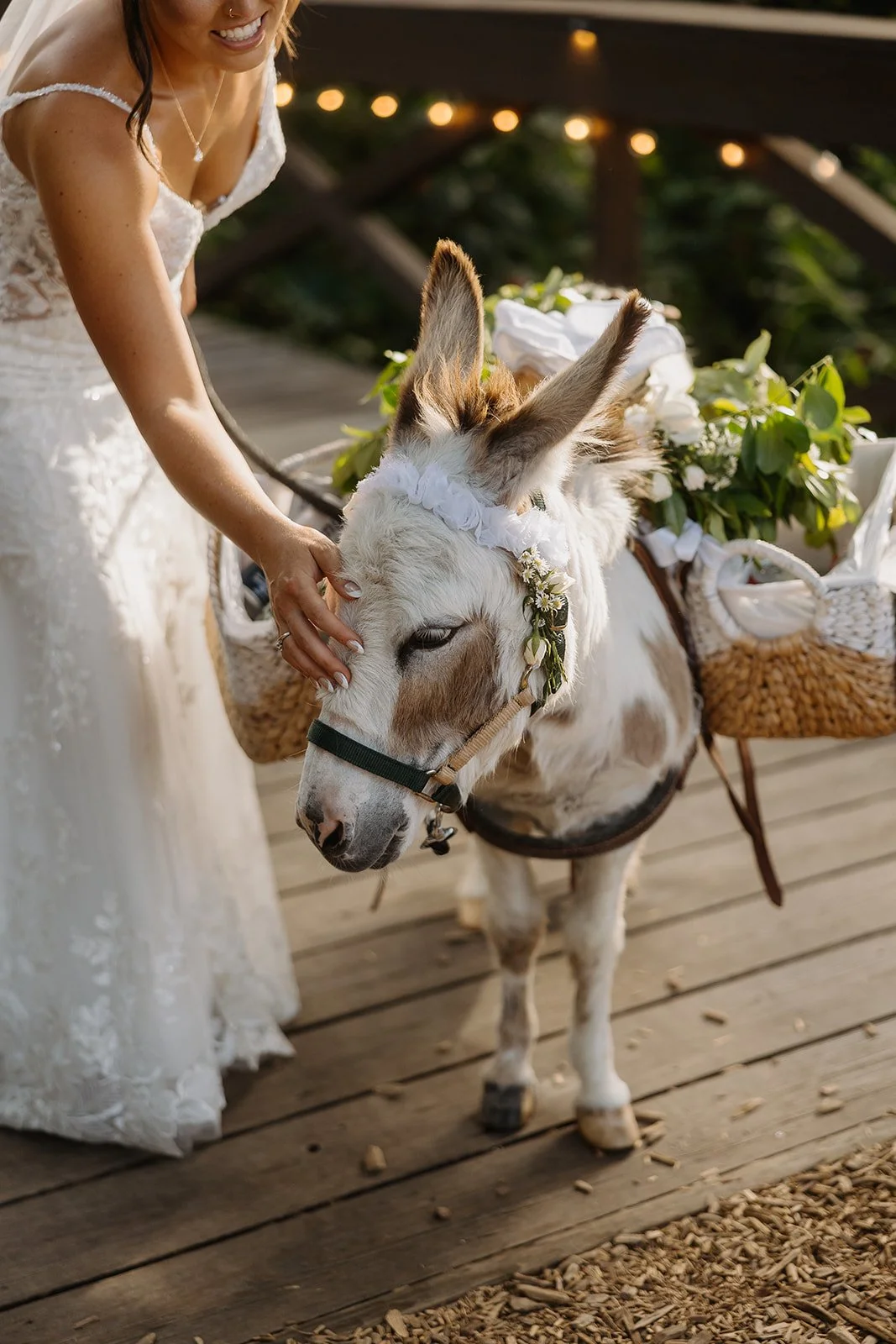 Goss Wedding 2025 (JPEG) (793 of 1231).jpg