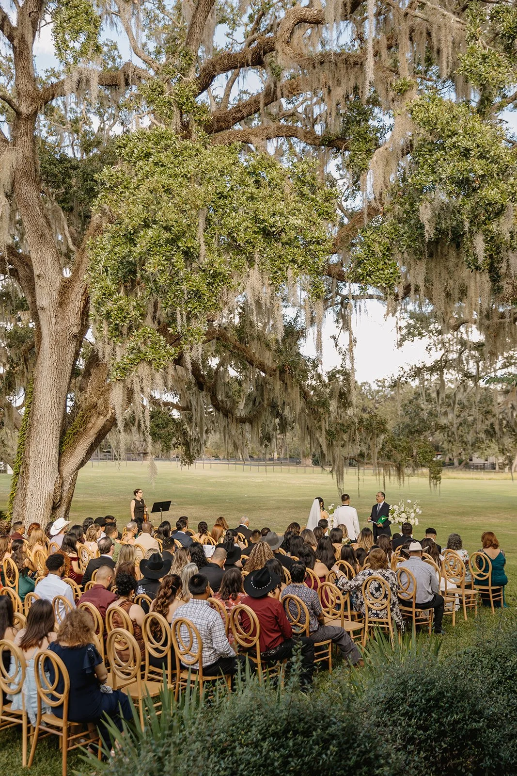 Gudino Wedding 2025 (JPEG) (315 of 867).jpg