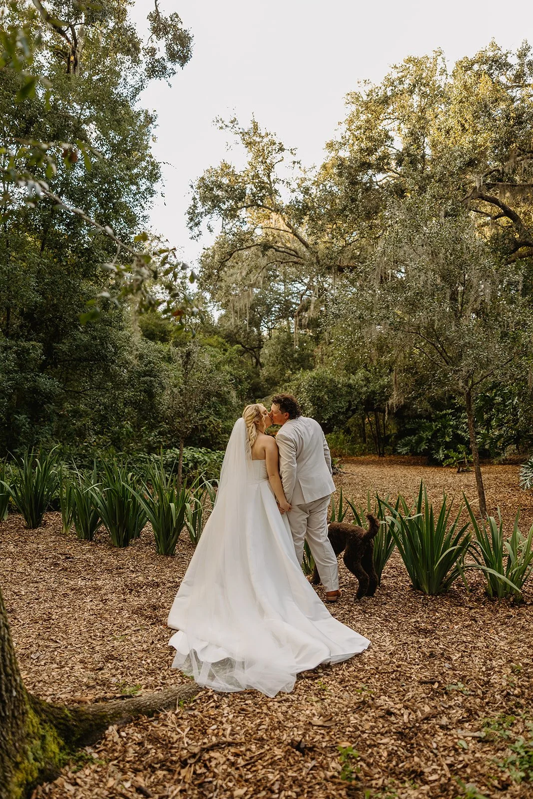 Thomas Wedding 2025 (JPEG) (633 of 1044).jpg