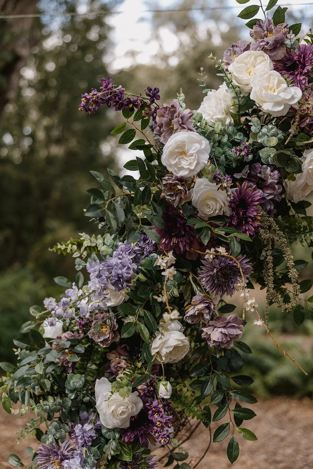 Wallack Wedding 2026 (JPEG) (62 of 1068).jpg