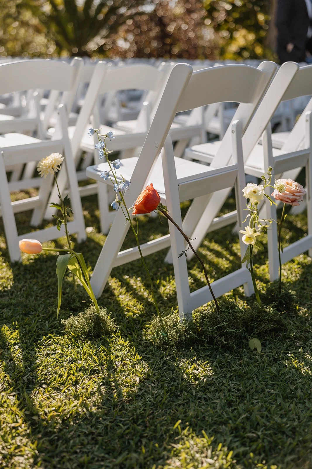 Henry Wedding 2026 (JPEG) (320 of 1137).jpg