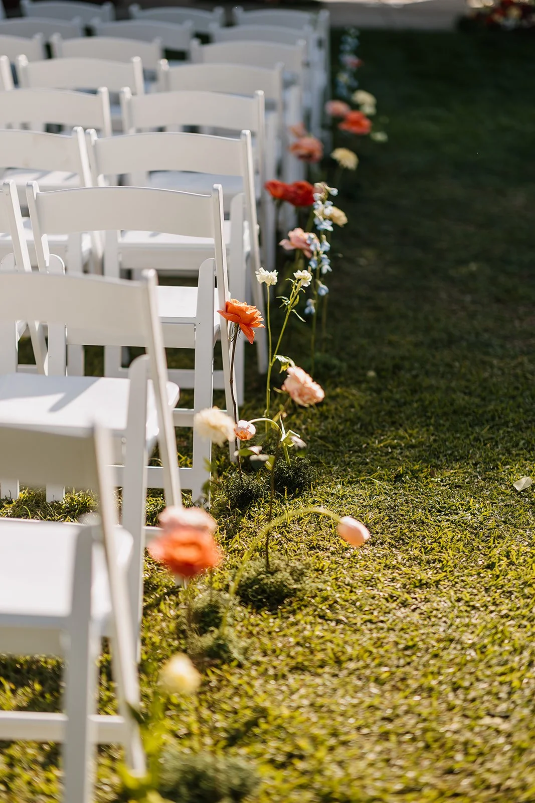 Henry Wedding 2026 (JPEG) (338 of 1137).jpg