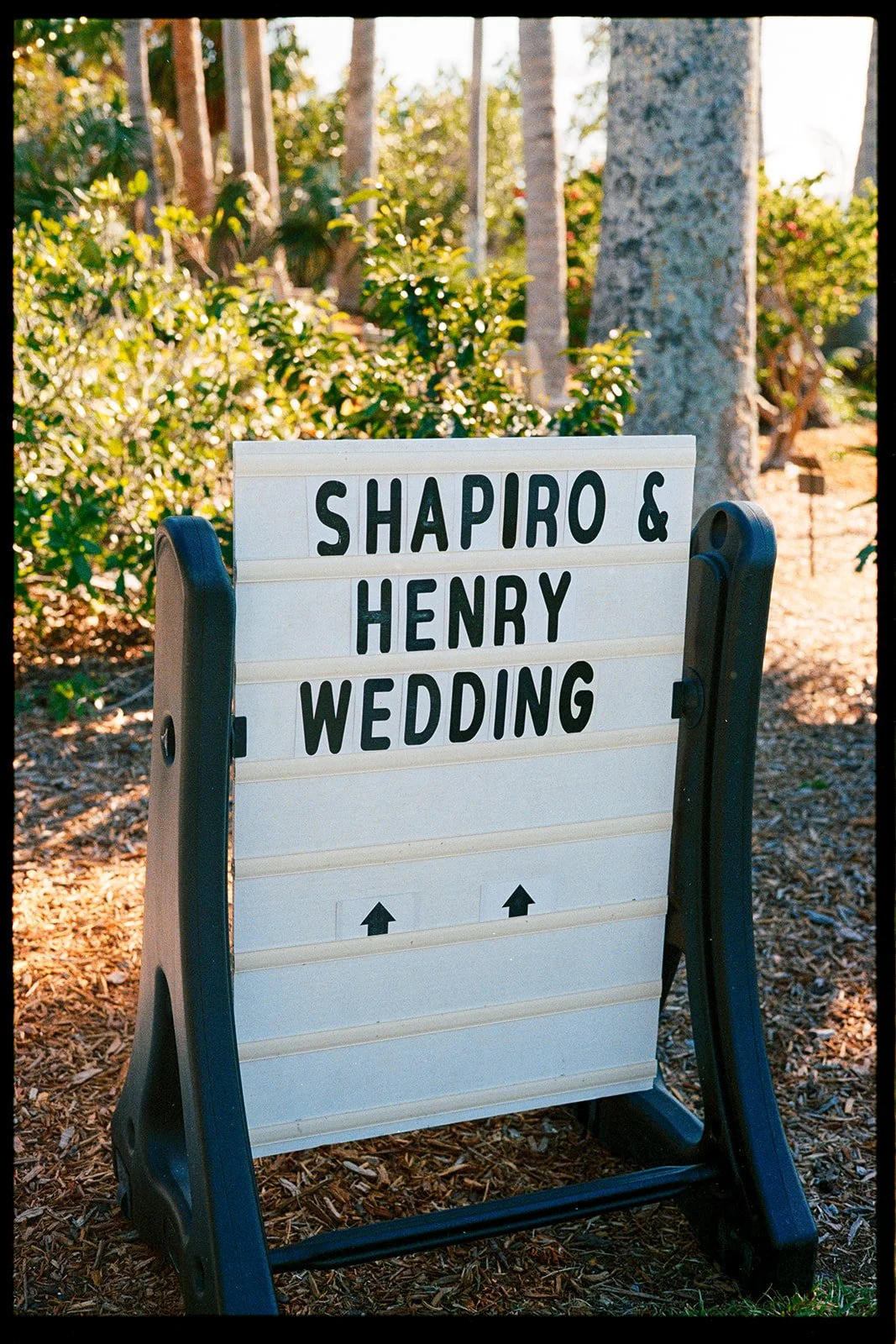 Henry Wedding 35mm FIlm 2026 (JPEG) (30 of 129).jpg