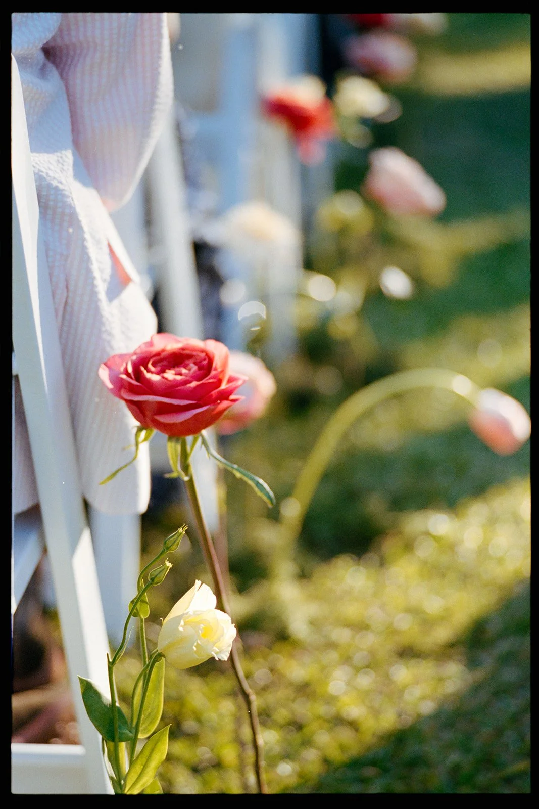 Henry Wedding 35mm FIlm 2026 (JPEG) (56 of 129).jpg