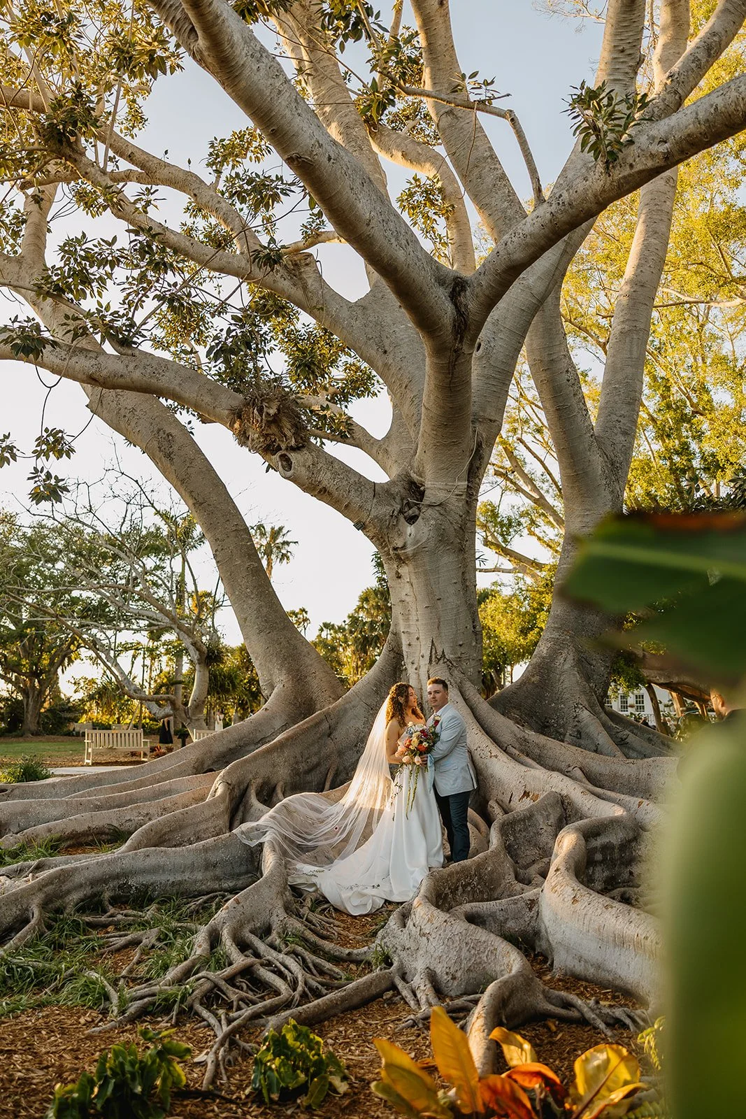 Connor &amp; Abby’s Marie Selby Gardens Wedding